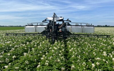 VIDEO: Smarter Seed Potato Selection Starts with AI